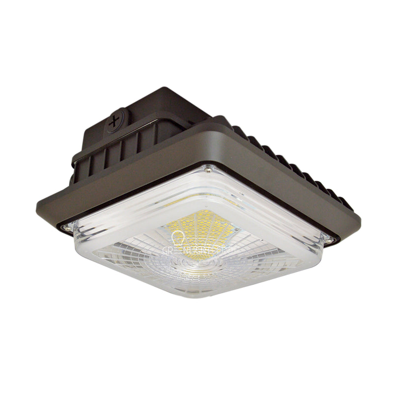 LED Canopy Light - 55W - Outdoor Parking Garage Light - Brown - 7260 Lumens